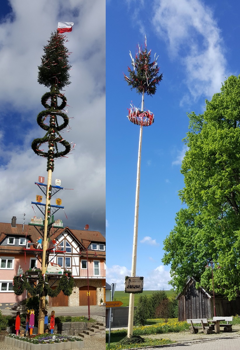 Maibaum