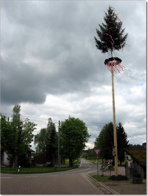 Maibaum