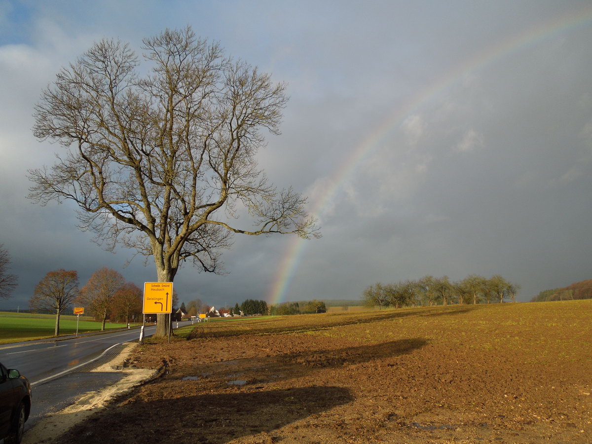 Regenbogen